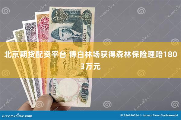 北京期货配资平台 博白林场获得森林保险理赔1803万元