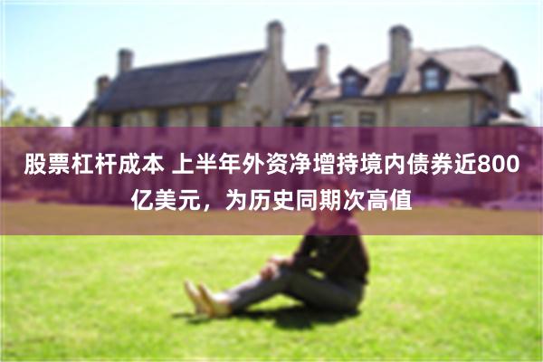 股票杠杆成本 上半年外资净增持境内债券近800亿美元，为历史同期次高值