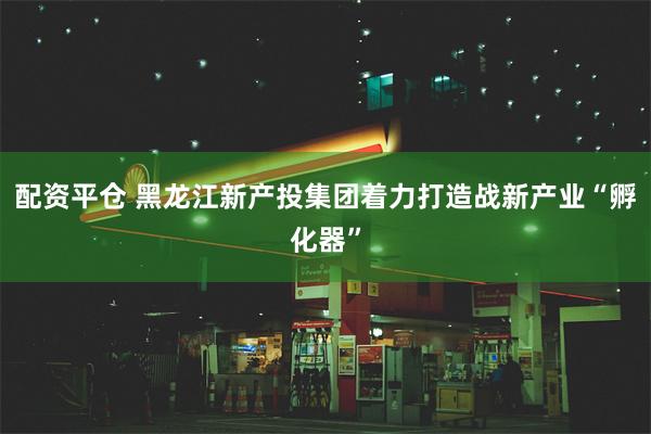 配资平仓 黑龙江新产投集团着力打造战新产业“孵化器”