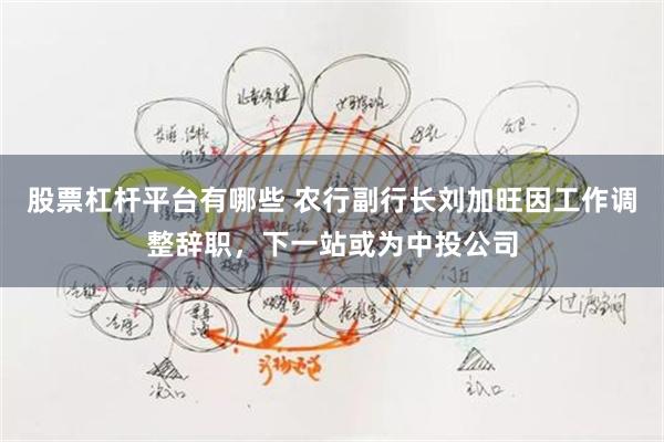 股票杠杆平台有哪些 农行副行长刘加旺因工作调整辞职，下一站或为中投公司