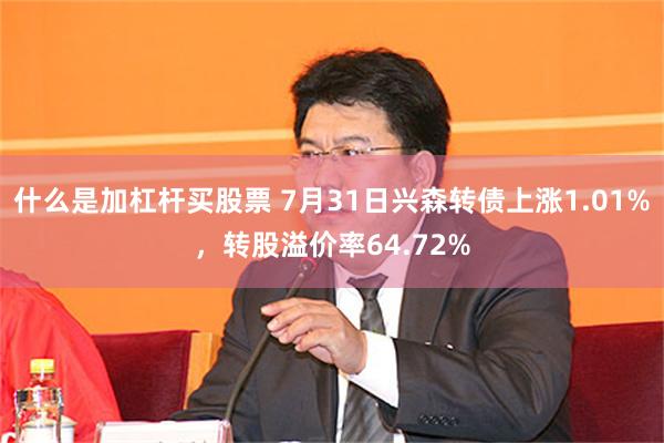 什么是加杠杆买股票 7月31日兴森转债上涨1.01%，转股溢价率64.72%