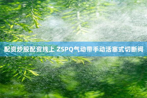 配资炒股配资线上 ZSPQ气动带手动活塞式切断阀