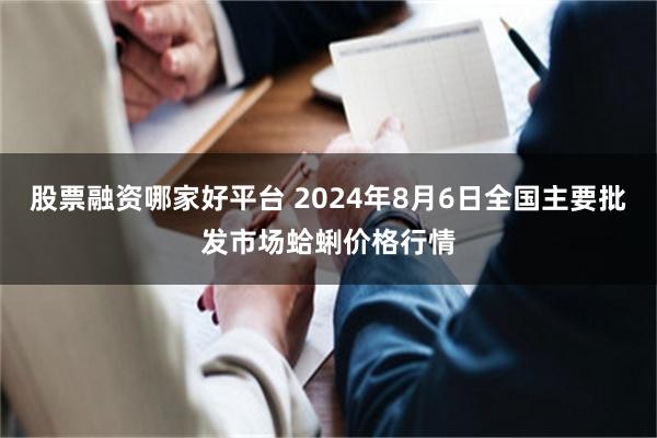 股票融资哪家好平台 2024年8月6日全国主要批发市场蛤蜊价格行情