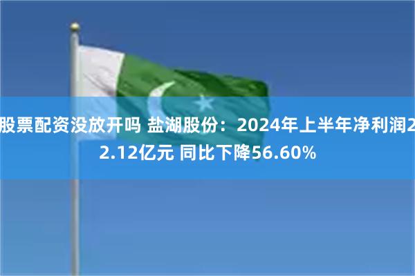 股票配资没放开吗 盐湖股份：2024年上半年净利润22.12亿元 同比下降56.60%