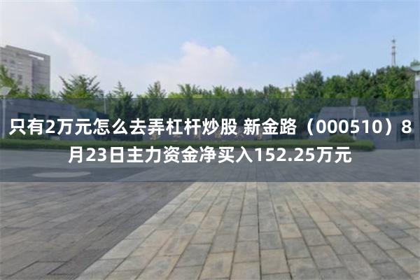 只有2万元怎么去弄杠杆炒股 新金路（000510）8月23日主力资金净买入152.25万元