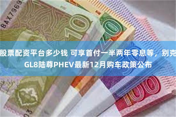 股票配资平台多少钱 可享首付一半两年零息等，别克GL8陆尊PHEV最新12月购车政策公布