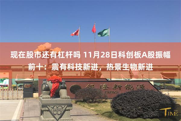 现在股市还有杠杆吗 11月28日科创板A股振幅前十：震有科技新进，热景生物新进