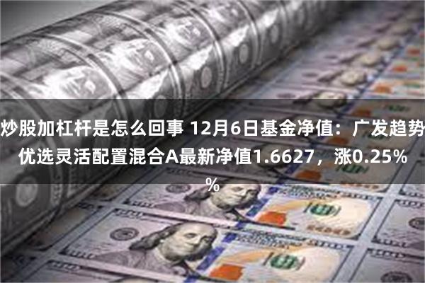 炒股加杠杆是怎么回事 12月6日基金净值：广发趋势优选灵活配置混合A最新净值1.6627，涨0.25%