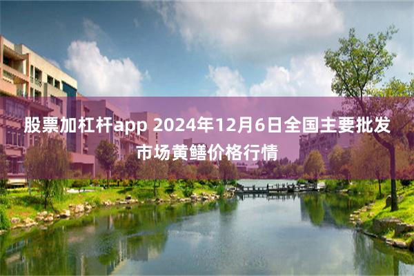 股票加杠杆app 2024年12月6日全国主要批发市场黄鳝价格行情