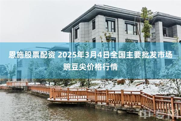 恩施股票配资 2025年3月4日全国主要批发市场豌豆尖价格行情